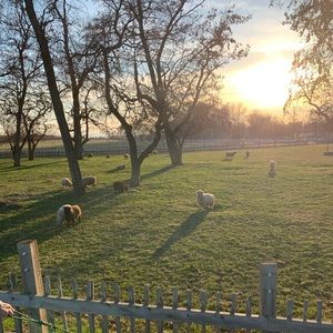 Meet your Posher, Elisabeth